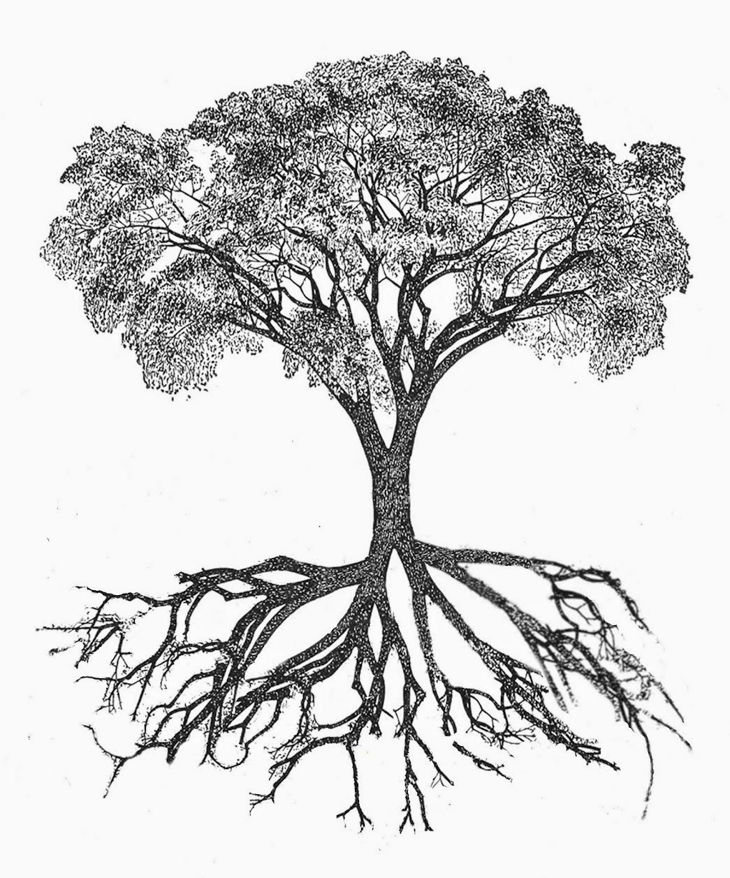 African Tree Drawing at GetDrawings Free download