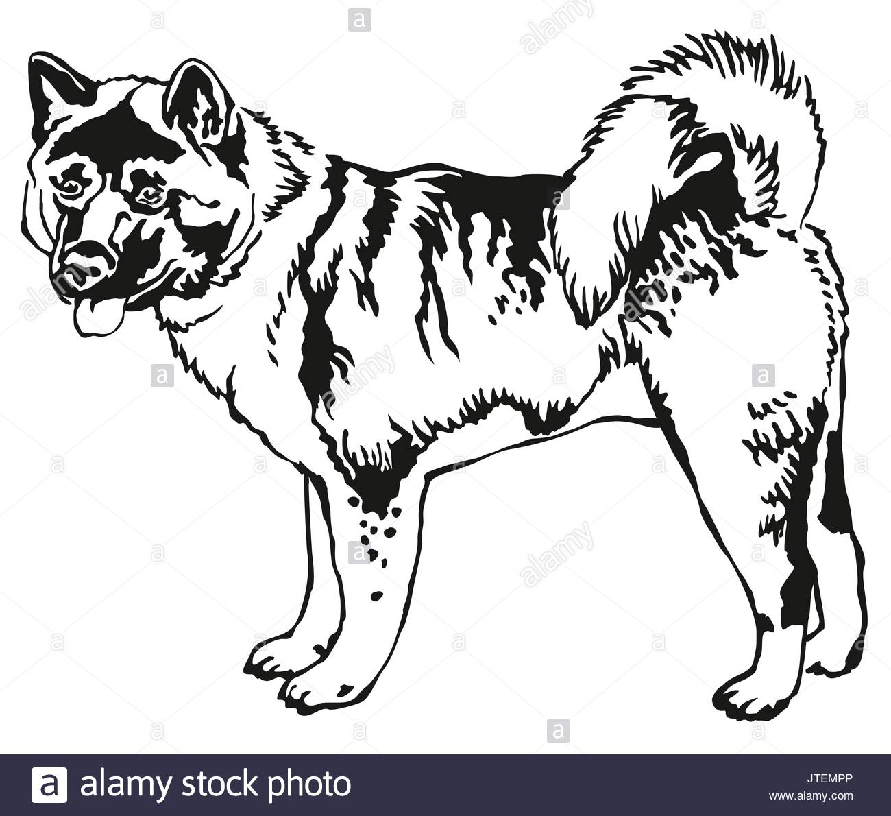 The best free Akita drawing images. Download from 47 free drawings of