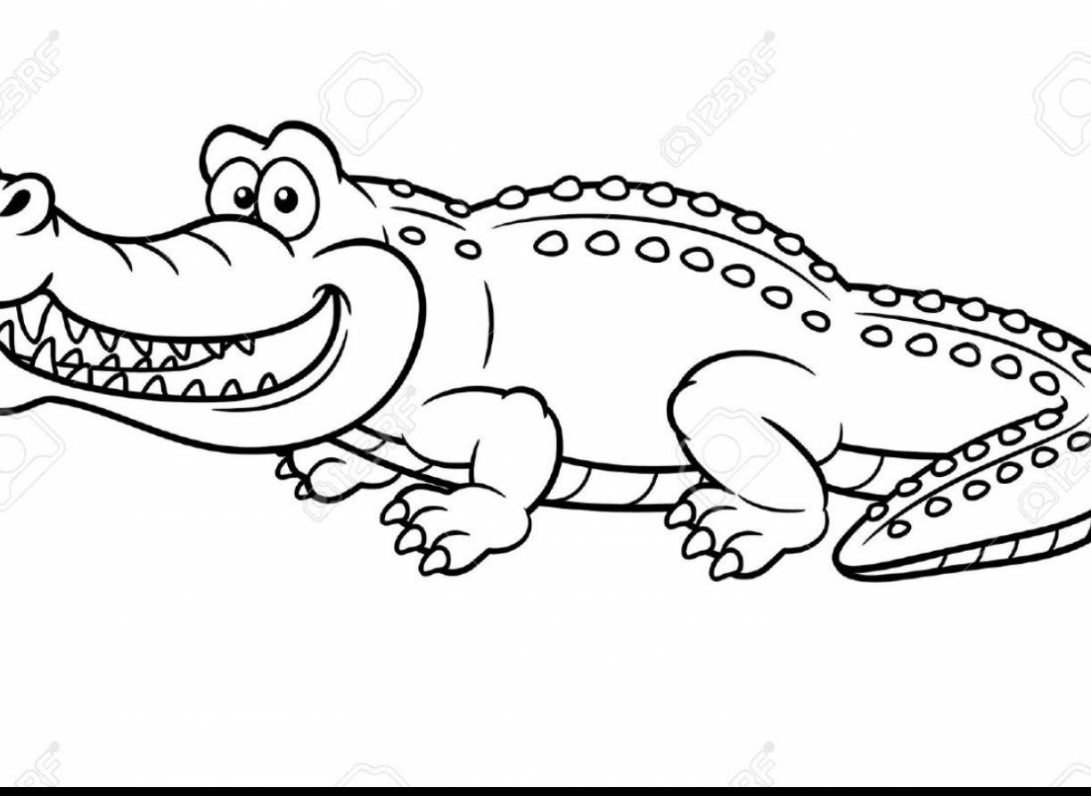 Черно белый рисунок крокодил сбоку