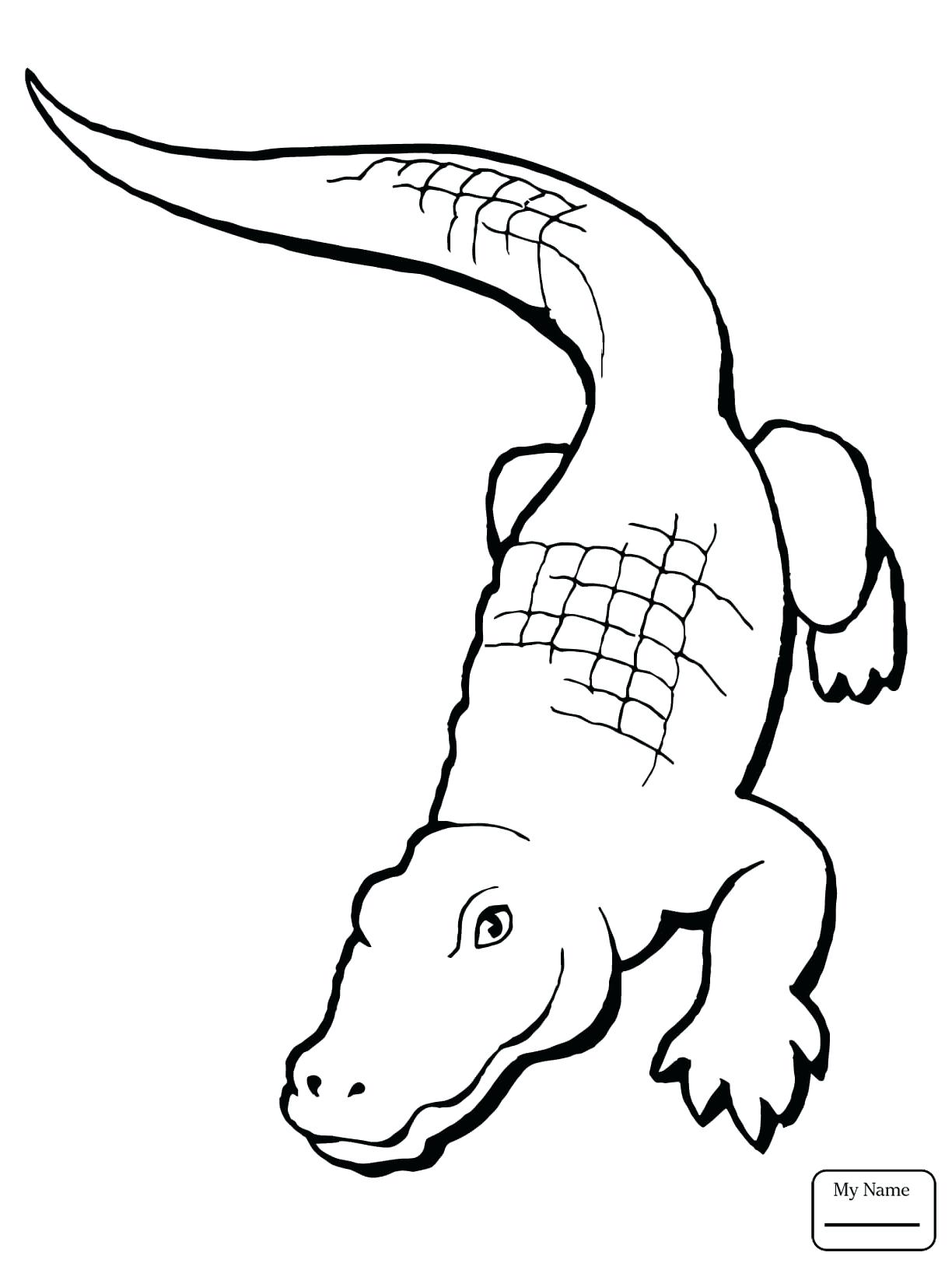 Alligator Line Drawing at GetDrawings Free download