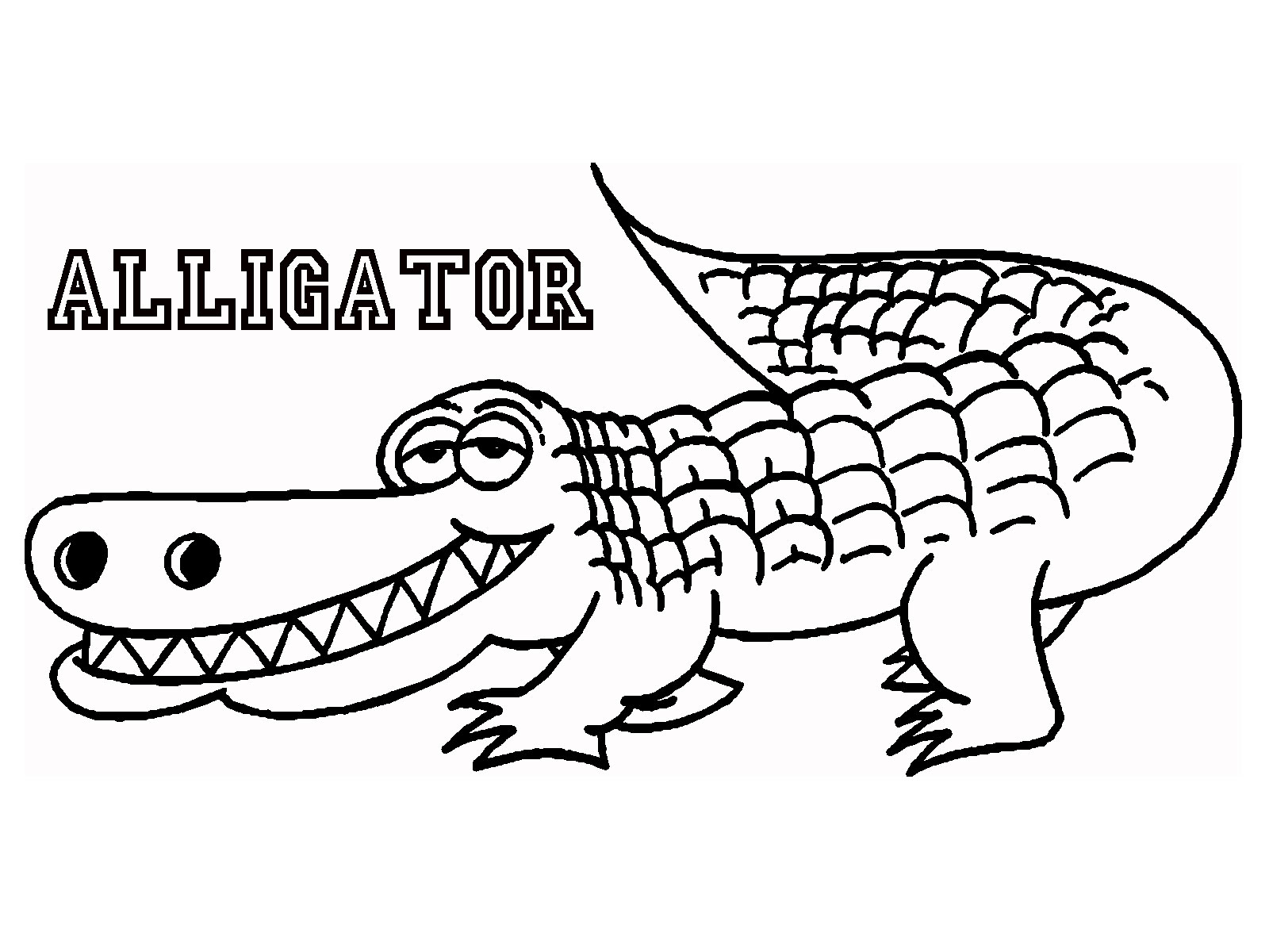 Alligator Outline Drawing at GetDrawings Free download