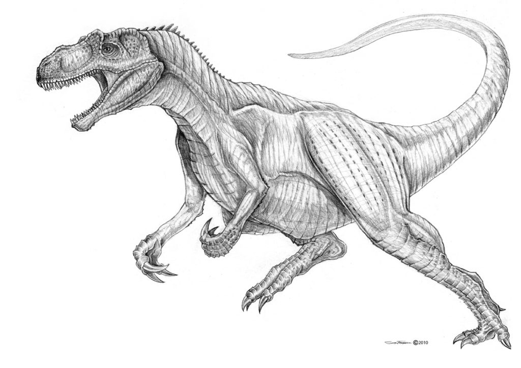 Allosaurus Drawing at GetDrawings | Free download