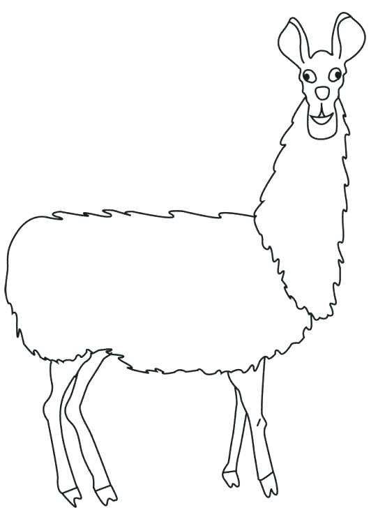 Alpaca Drawing Free at GetDrawings | Free download