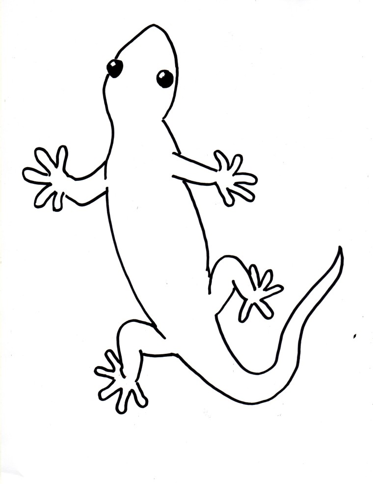 Amphibian Drawing at GetDrawings Free download
