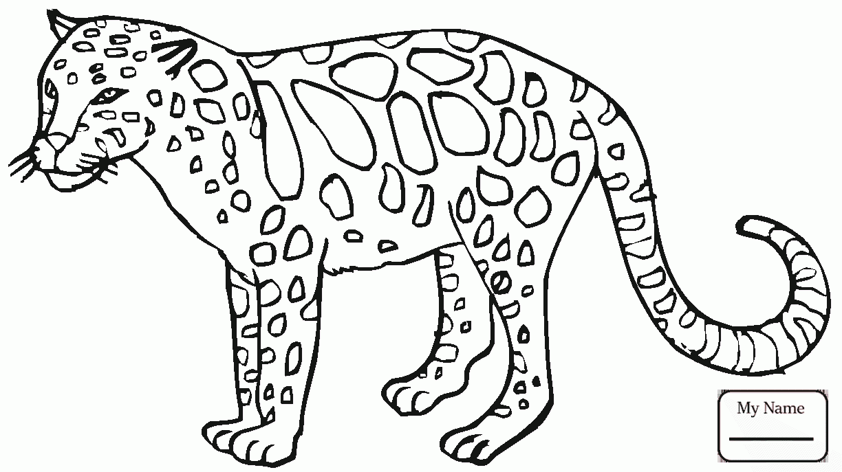 Amur Leopard Drawing at GetDrawings | Free download
