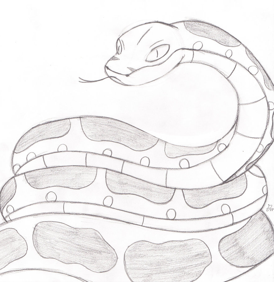 Anaconda Drawing at GetDrawings | Free download