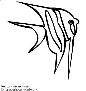 Angel Fish Drawing at GetDrawings | Free download