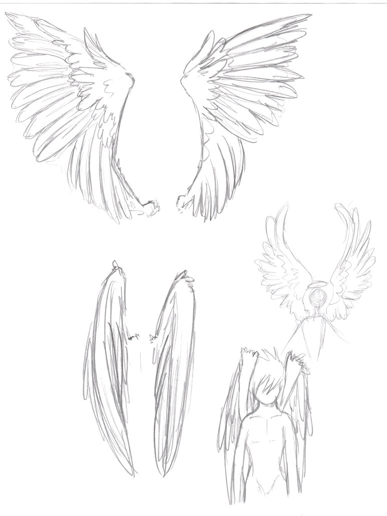 Angel Wing Drawing at GetDrawings | Free download