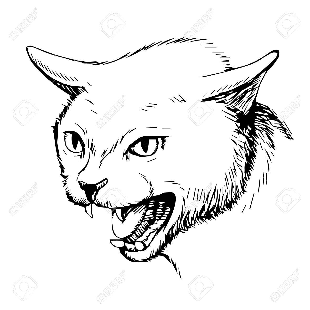 How To Draw An Angry Cat Face At Charlie Oliver Blog