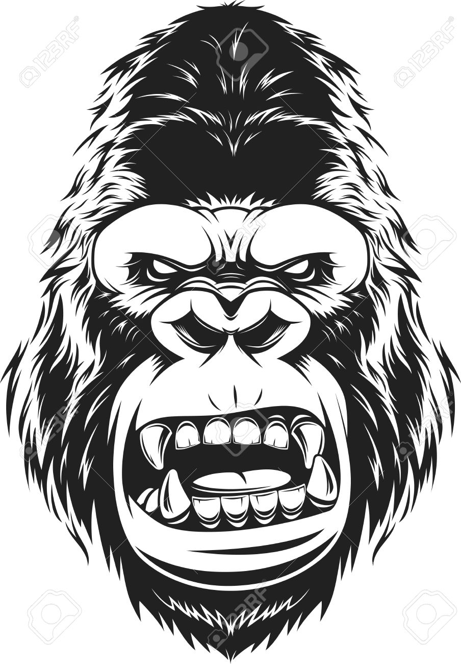 Artistic Angry Gorilla Drawing loligoana
