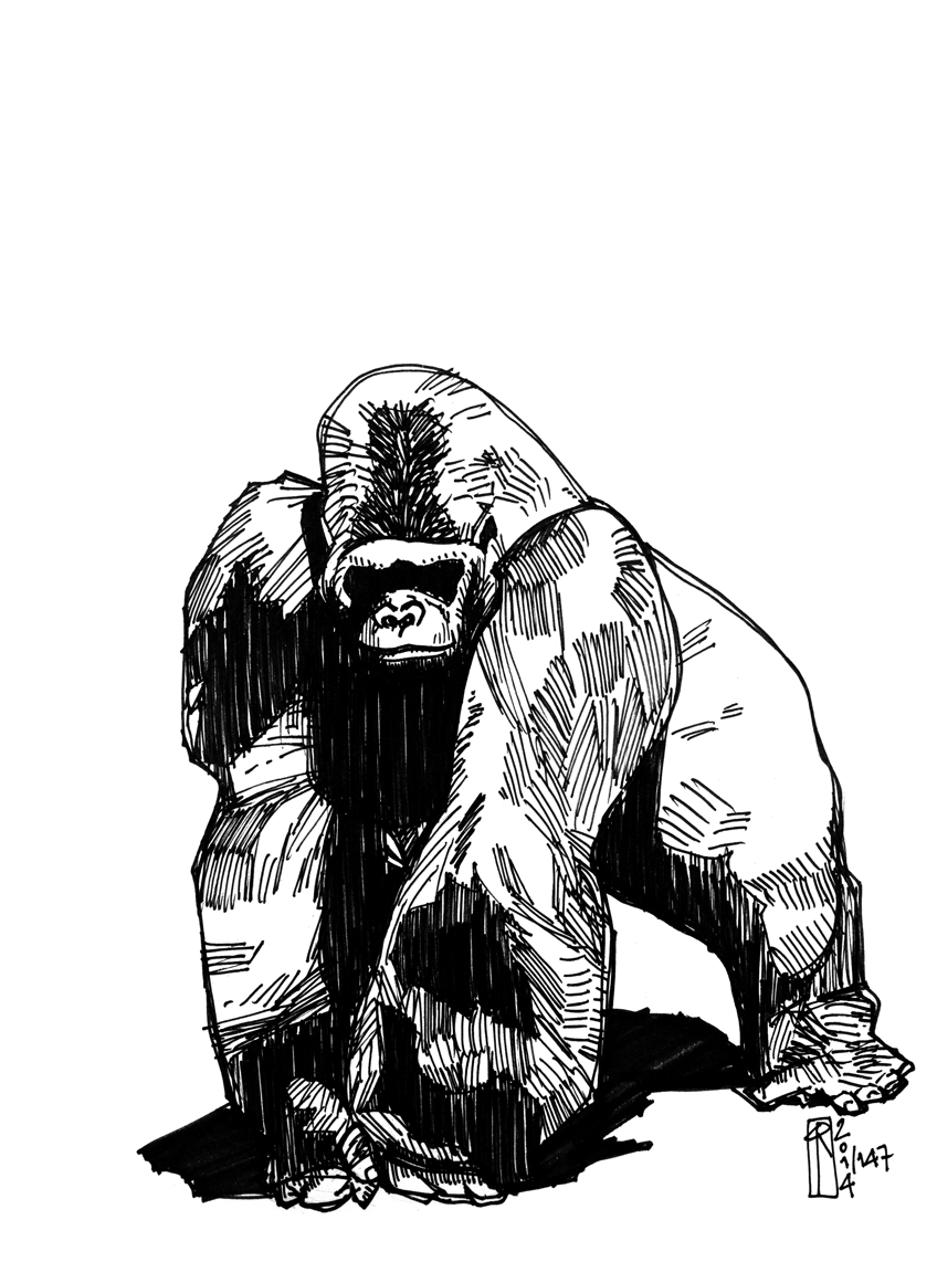 Angry Gorilla Drawing at GetDrawings Free download