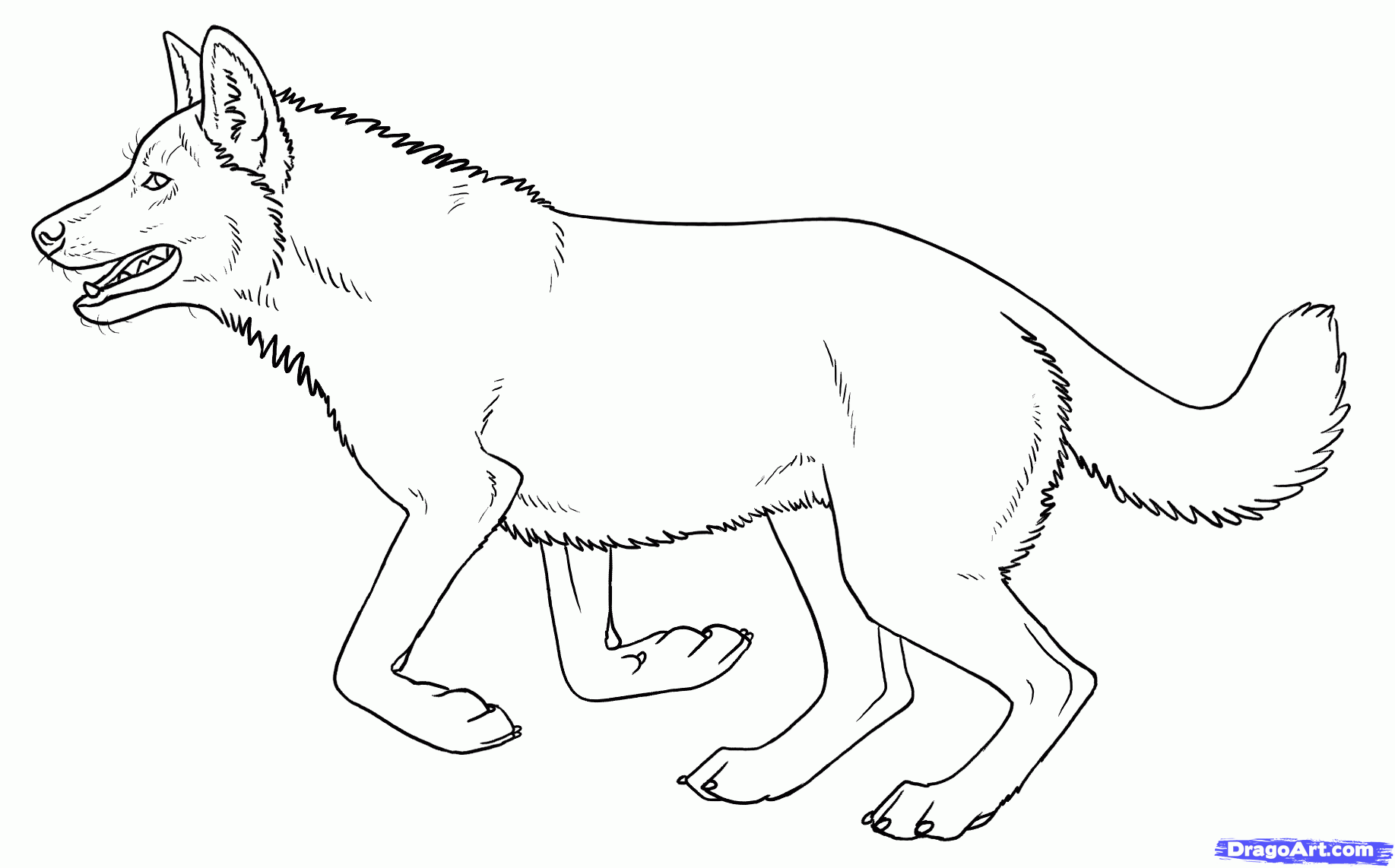 Angry Wolf Drawing at GetDrawings | Free download