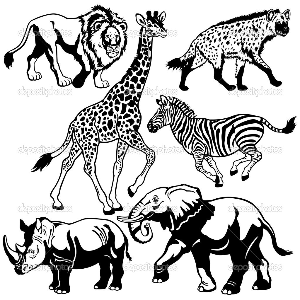 Animal Black And White Drawing at GetDrawings Free download