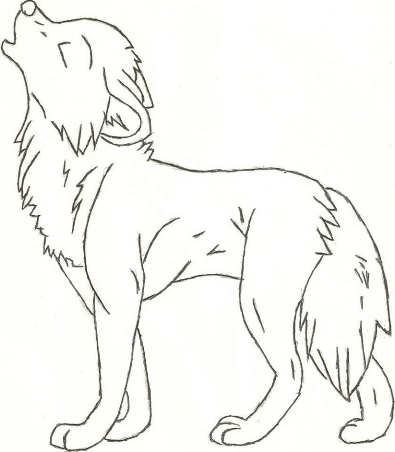 Animal Drawing Outlines at GetDrawings Free download