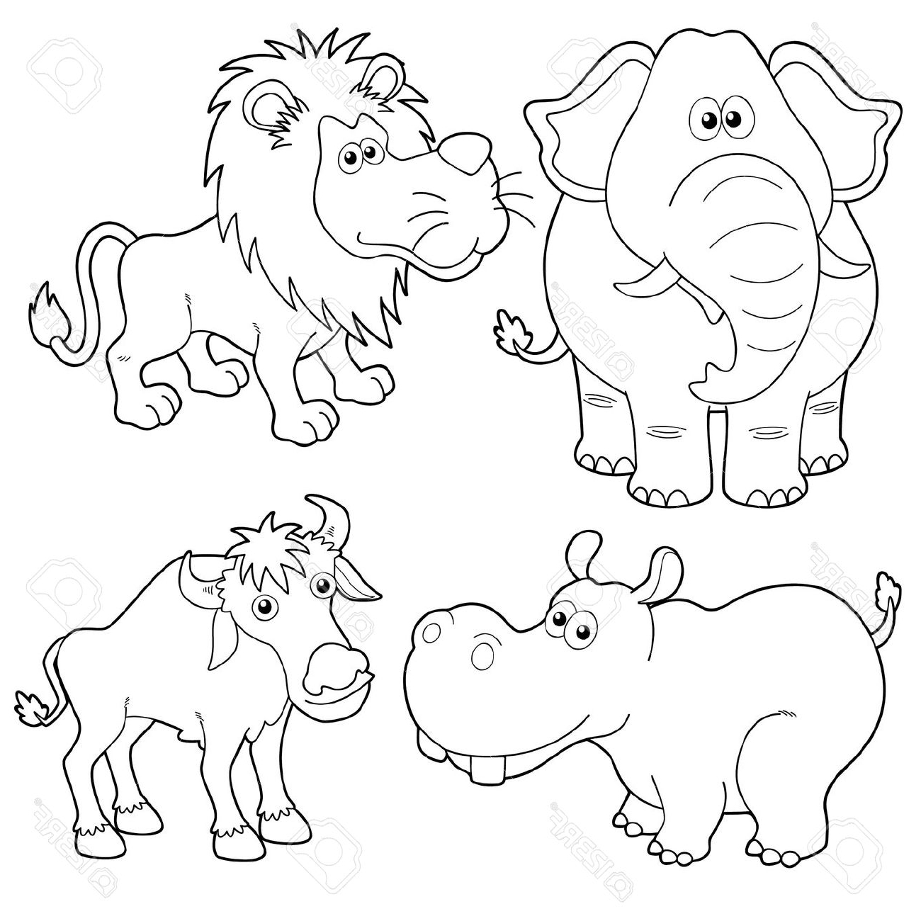 Animals Drawing Outline at GetDrawings Free download