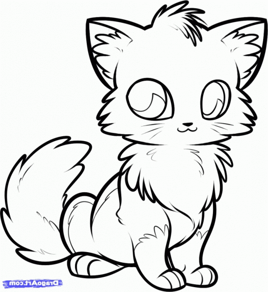 Anime Cat Drawing at GetDrawings | Free download
