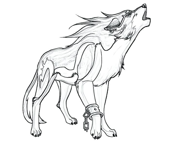 Anime Wolf Drawing at GetDrawings | Free download