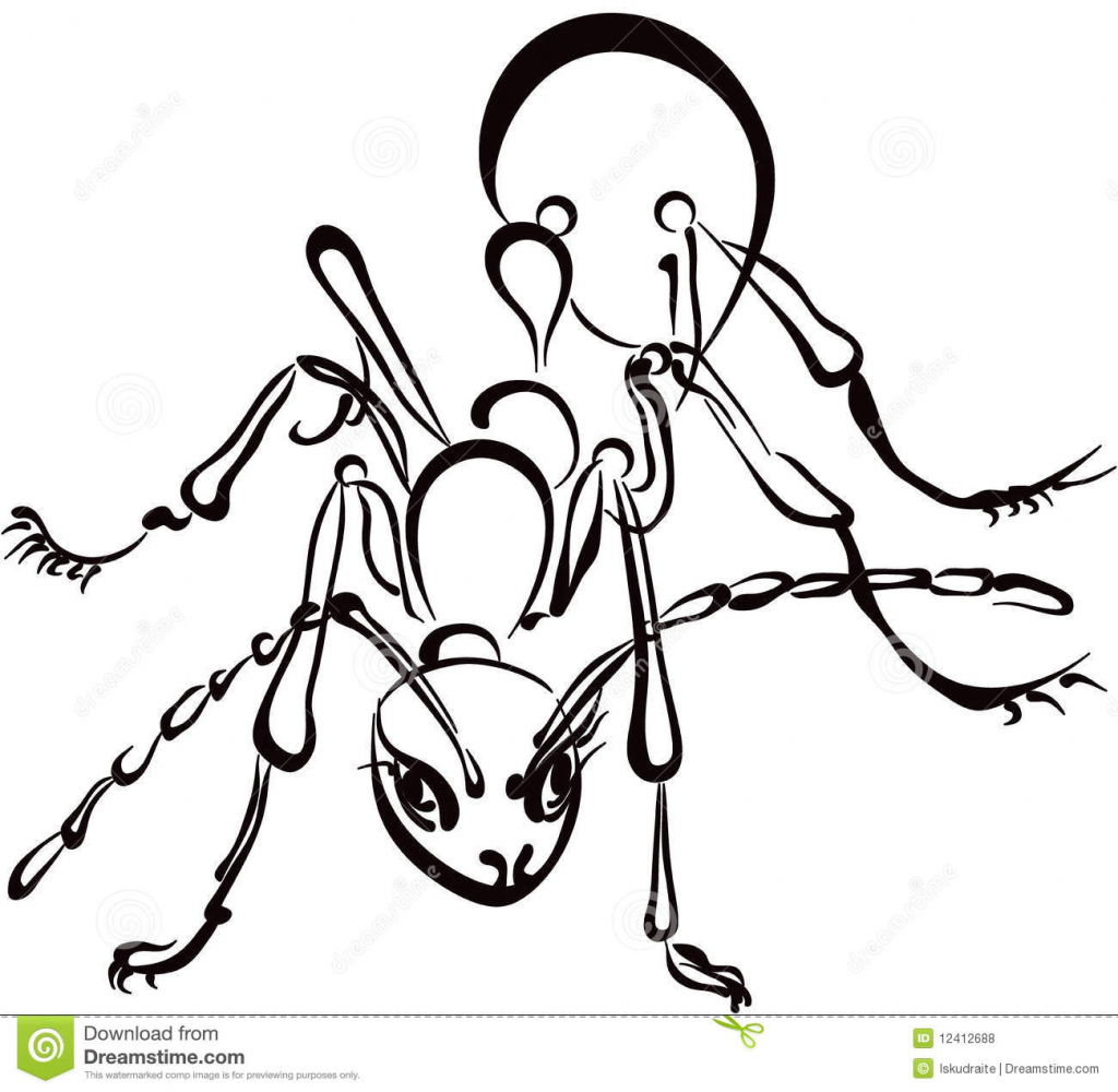 Рисунки боевых муравьев