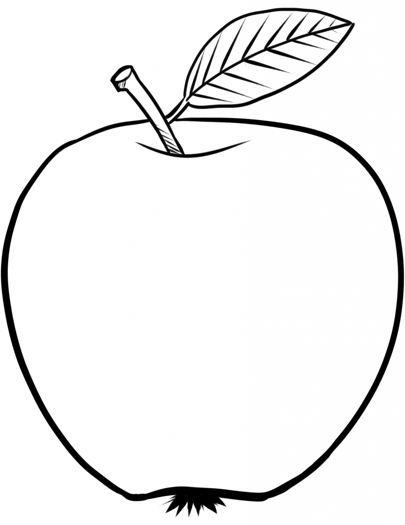 apple sketch png