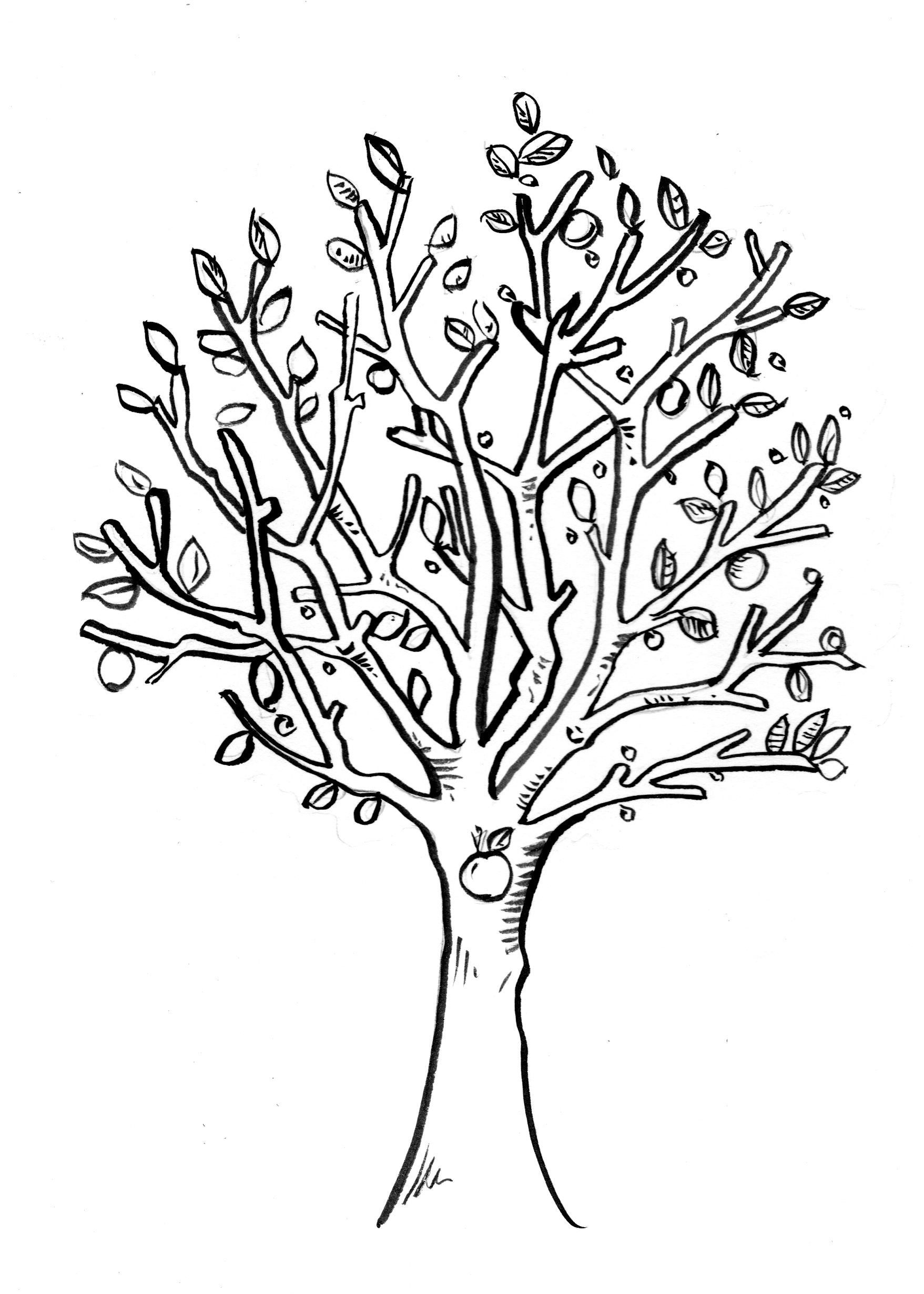 Apple Tree Drawing at GetDrawings Free download