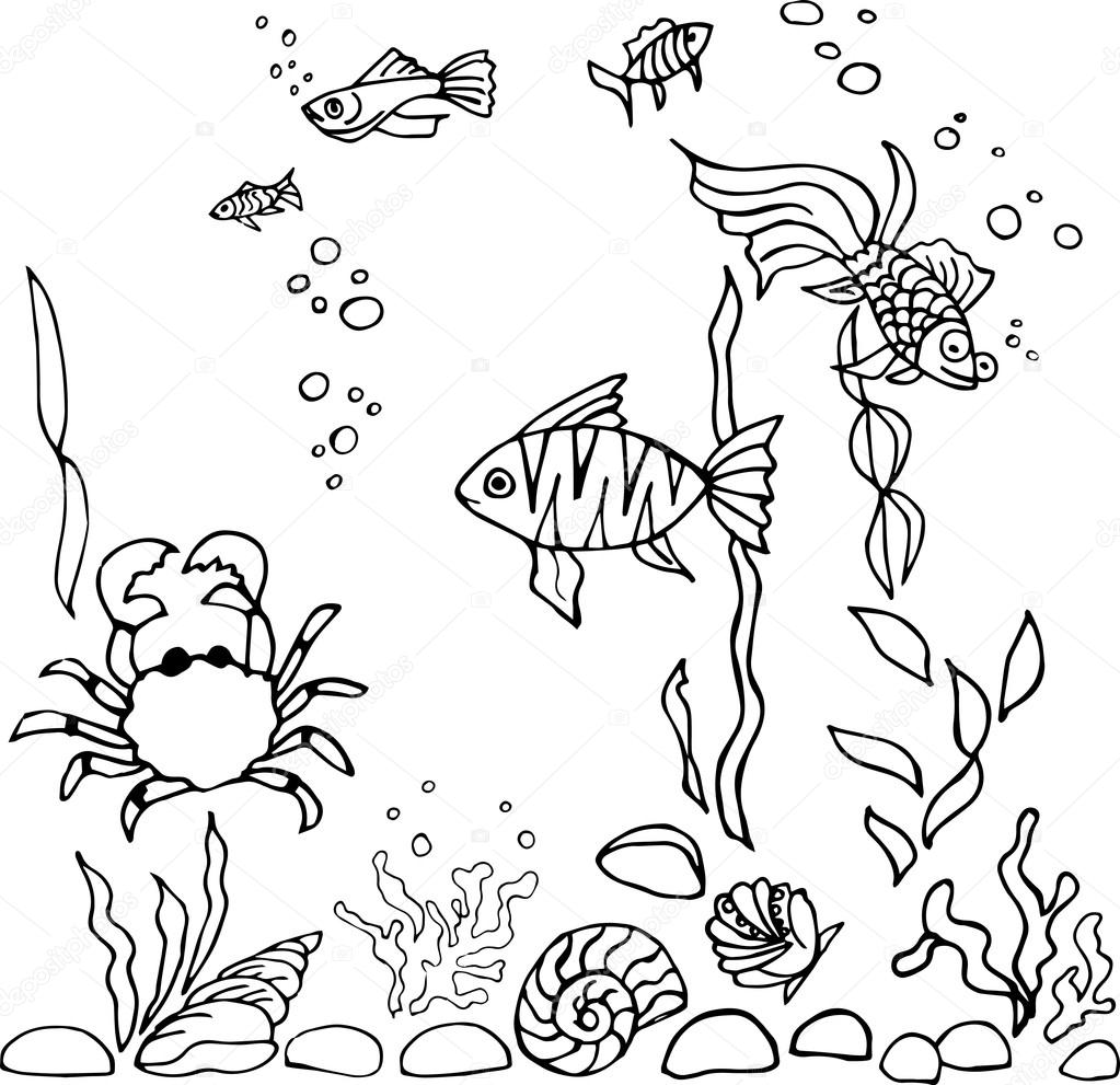 Aquarium Fish Drawing at GetDrawings | Free download
