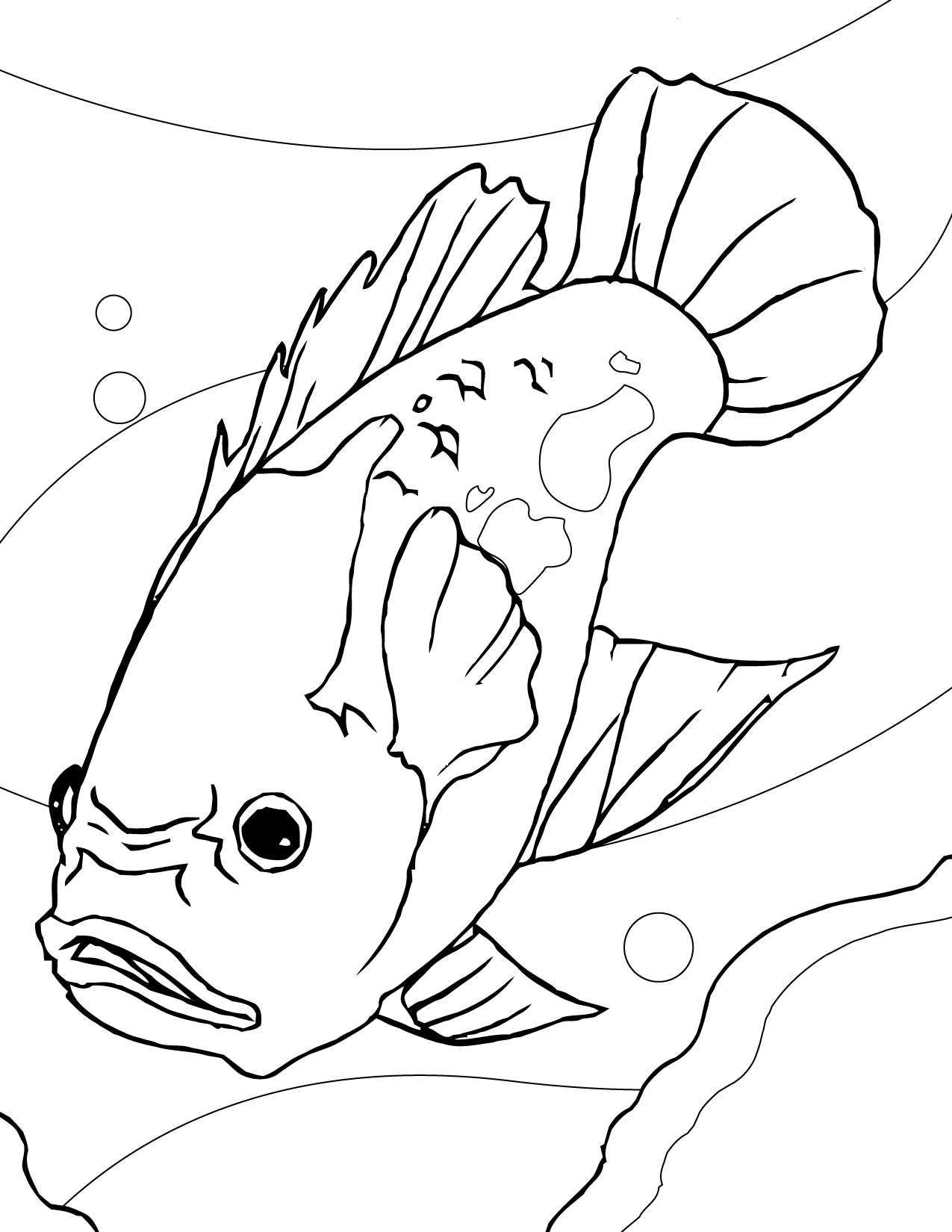 Aquarium Fish Drawing at GetDrawings Free download