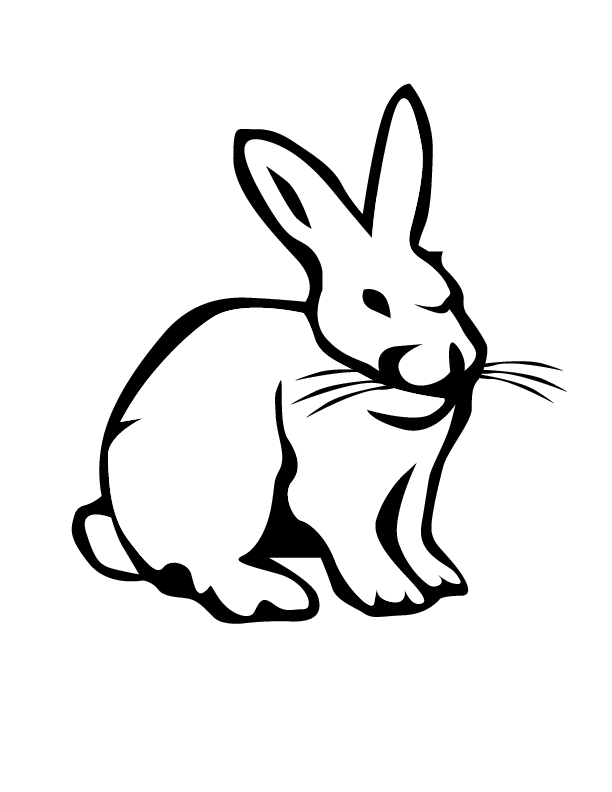 Arctic Hare Drawing at GetDrawings | Free download