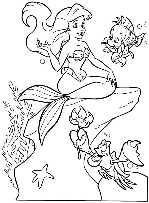 Ariel Mermaid Drawing at GetDrawings Free download
