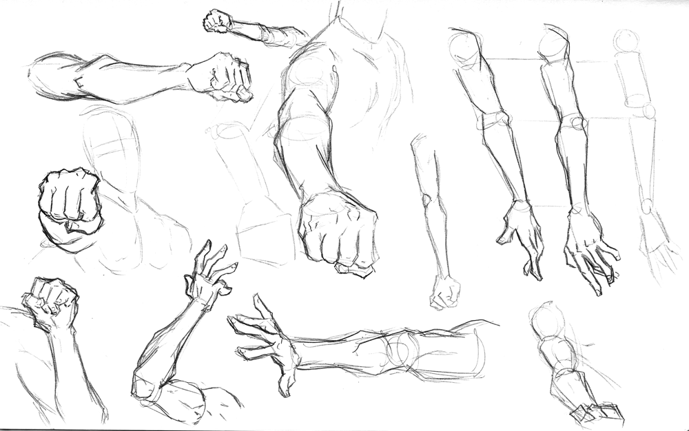 human arm sketch