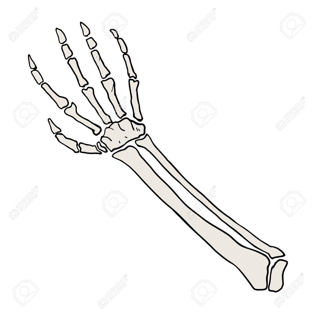 Прорисованные кости на руке
