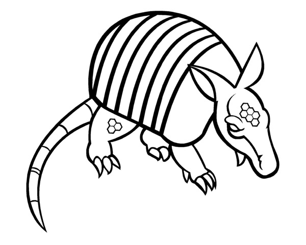 Armadillo Drawing at GetDrawings | Free download