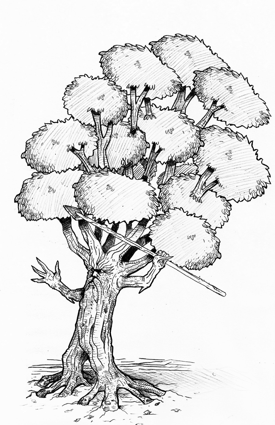 Ash Tree Drawing at GetDrawings Free download