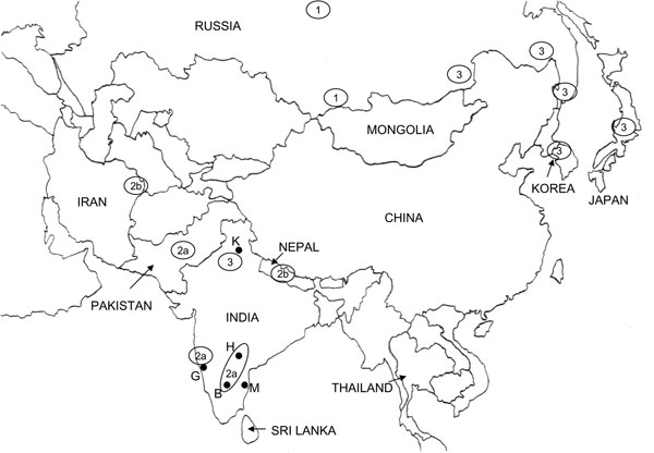 Asia Map Drawing at GetDrawings | Free download