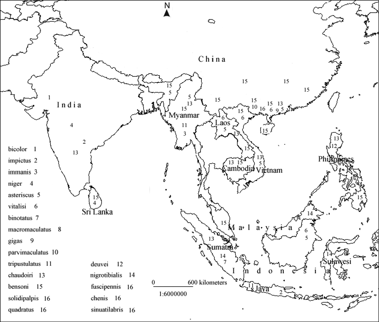 Asia Map Drawing at GetDrawings | Free download