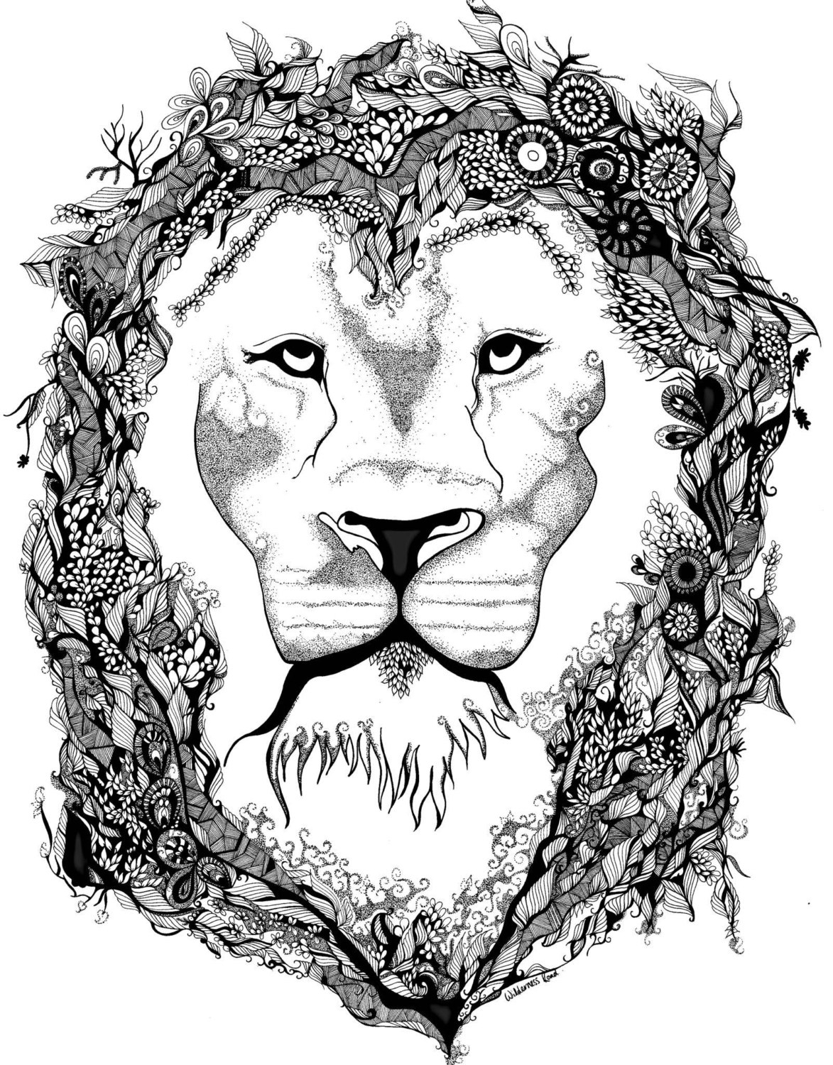 The best free Aslan drawing images. Download from 51 free drawings of