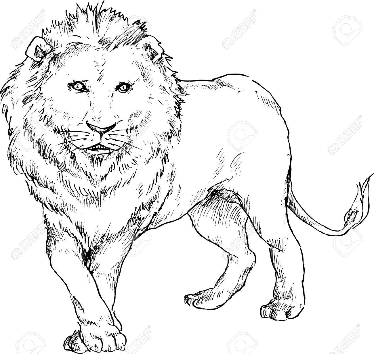 Рисунки Льва и рядом Ягуар срисовки