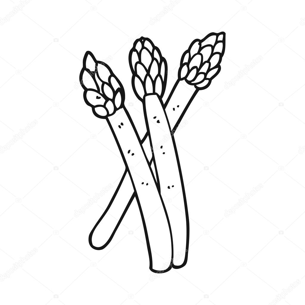 Asparagus Drawing at GetDrawings | Free download