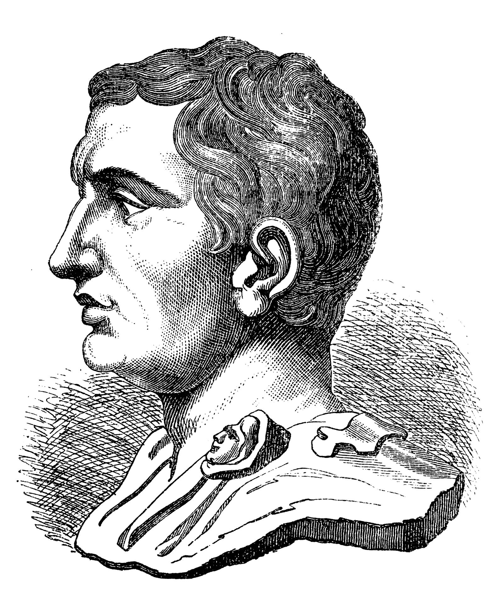 Augustus Caesar Drawing at GetDrawings Free download