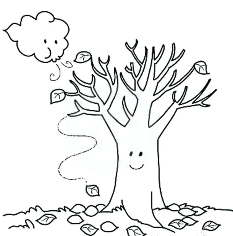 Autumn Tree Drawing at GetDrawings | Free download