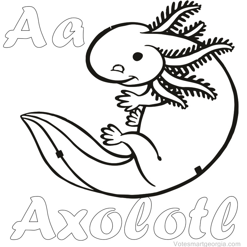 The best free Axolotl drawing images. Download from 55 free drawings of