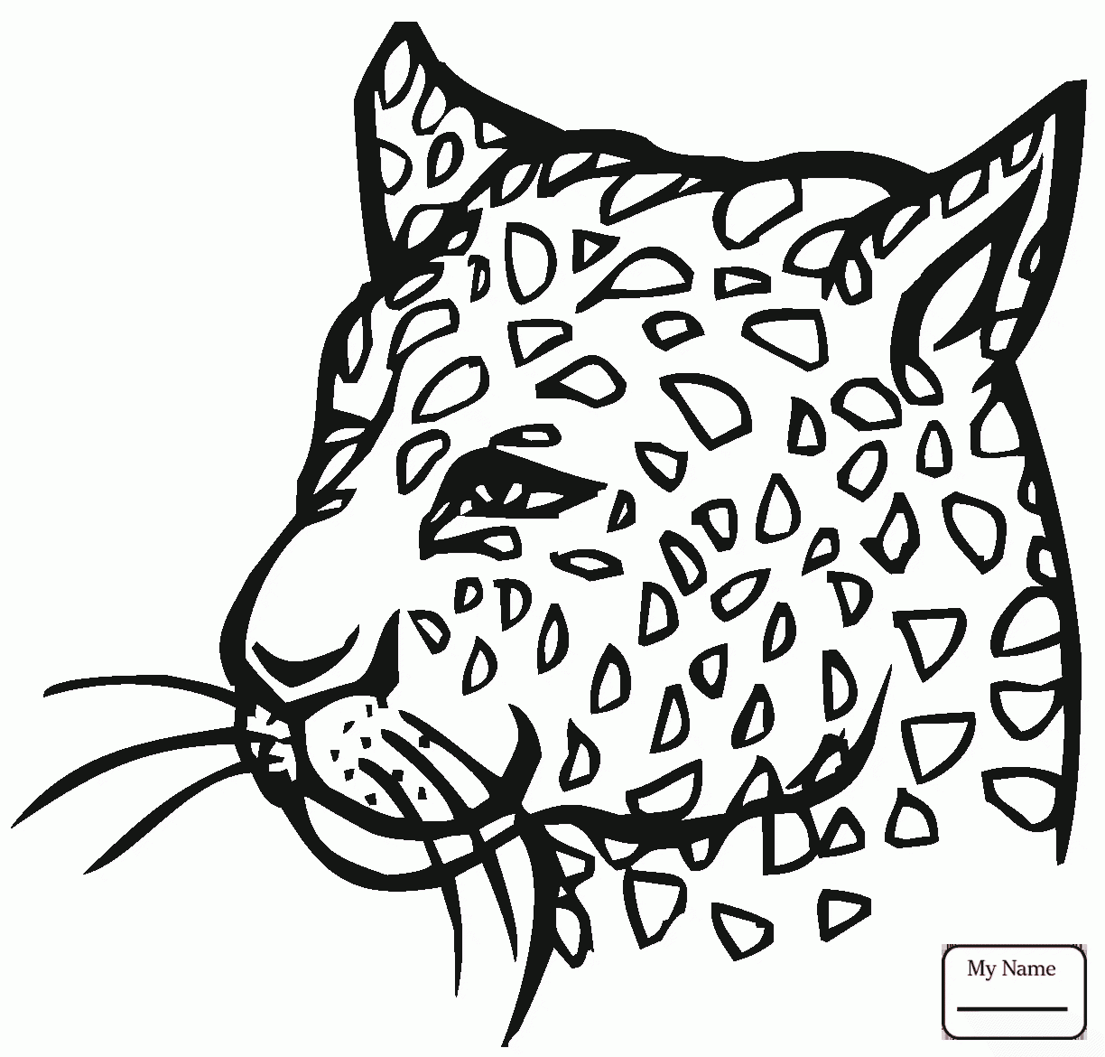Baby Cheetah Drawing at GetDrawings Free download