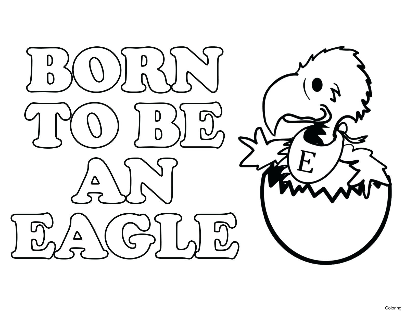 Baby Eagle Drawing at GetDrawings | Free download