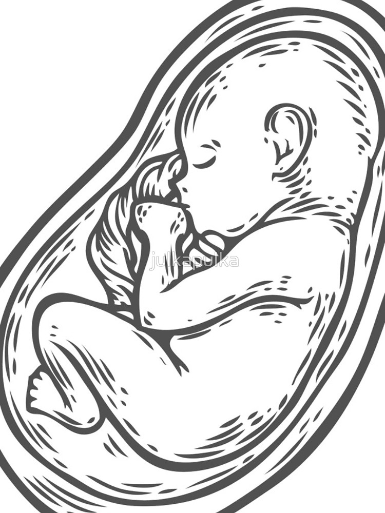 Baby In Womb Drawing At GetDrawings Free Download