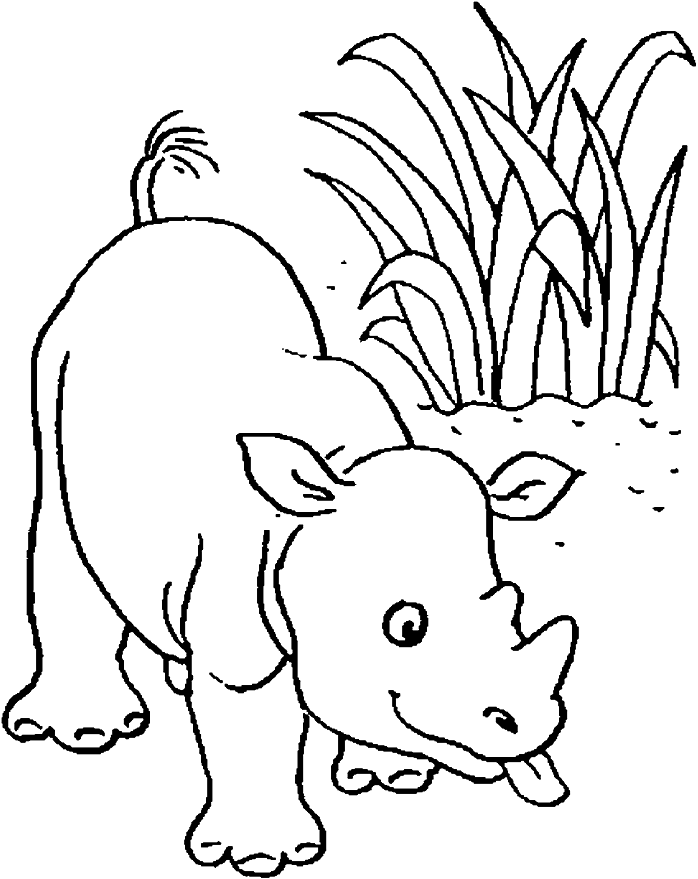 Baby Rhino Drawing at GetDrawings | Free download