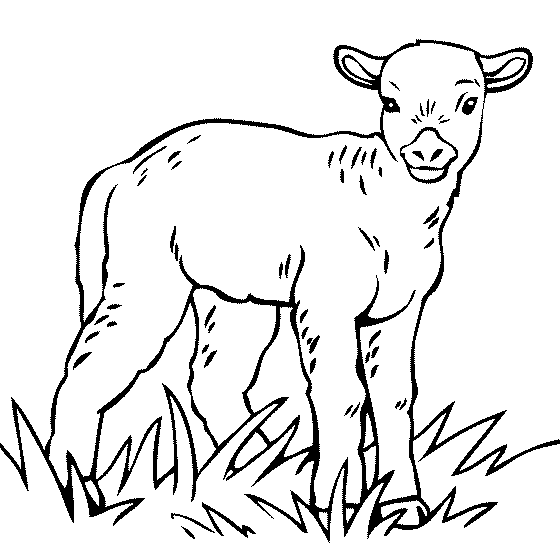 Best Coloring Pages Site Printable Coloring Pages Pat Patzoo The Sheep ...