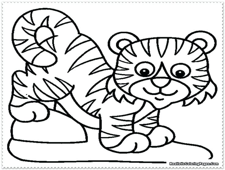 Baby Tiger Drawing At Getdrawings 