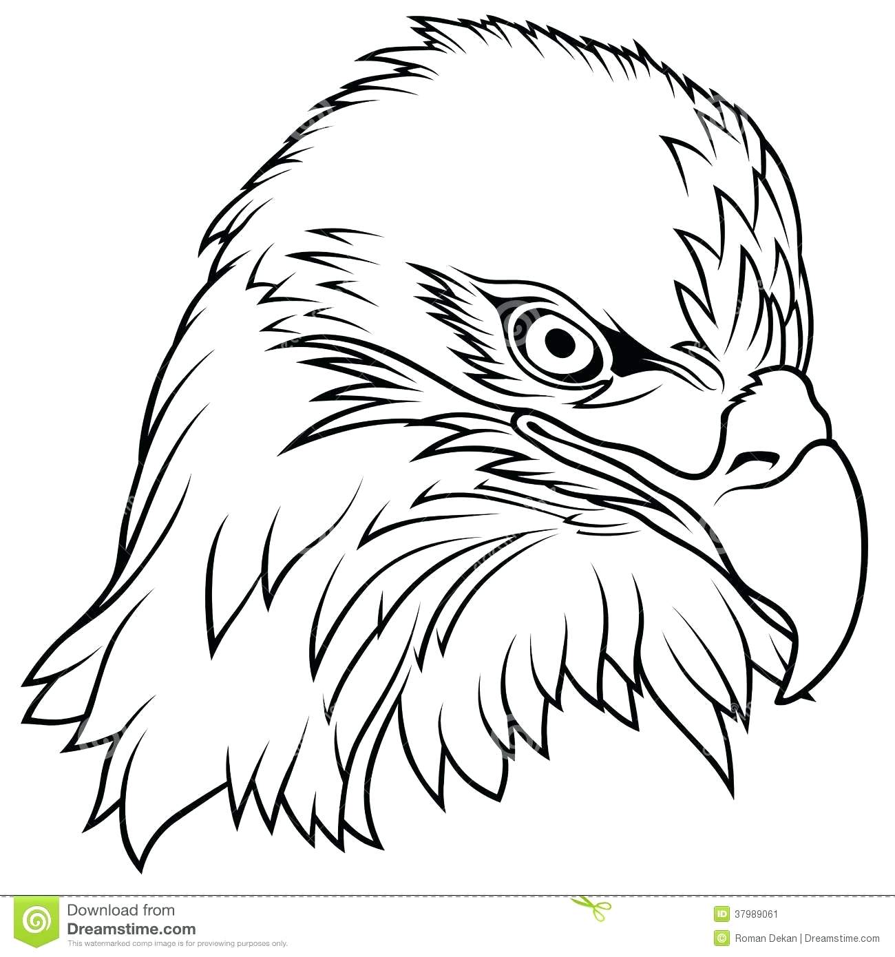 Bald Eagle Easy Drawing At GetDrawings Free Download