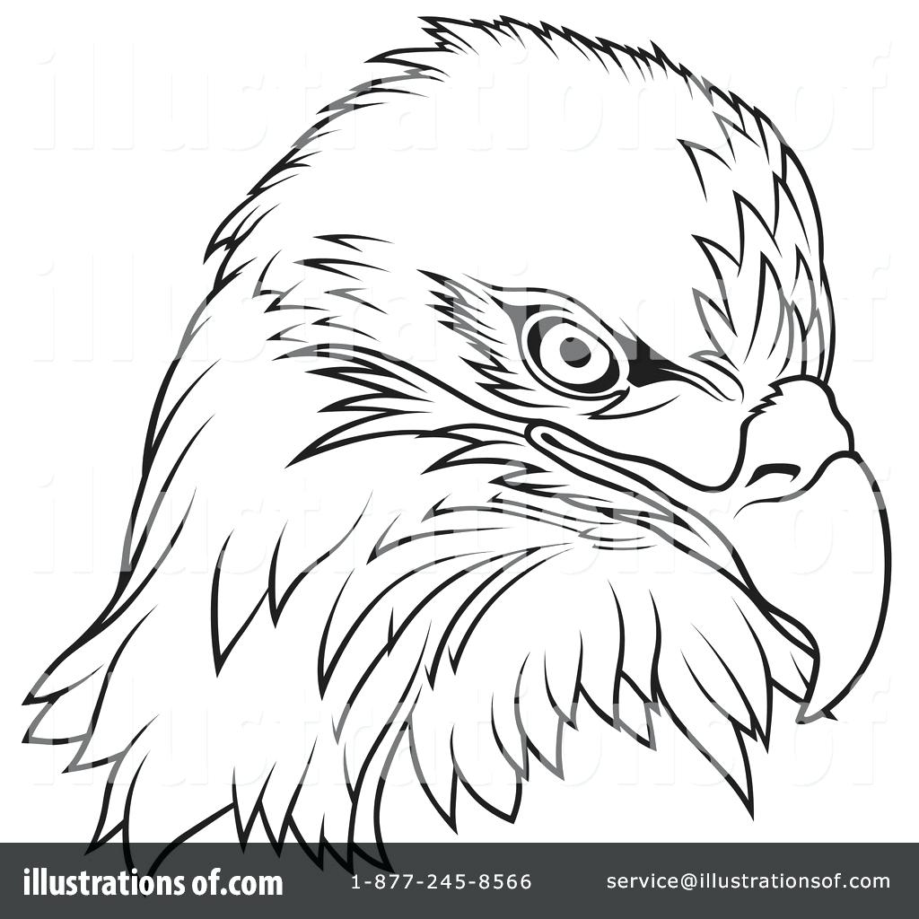 Bald Eagle Line Drawing at GetDrawings | Free download