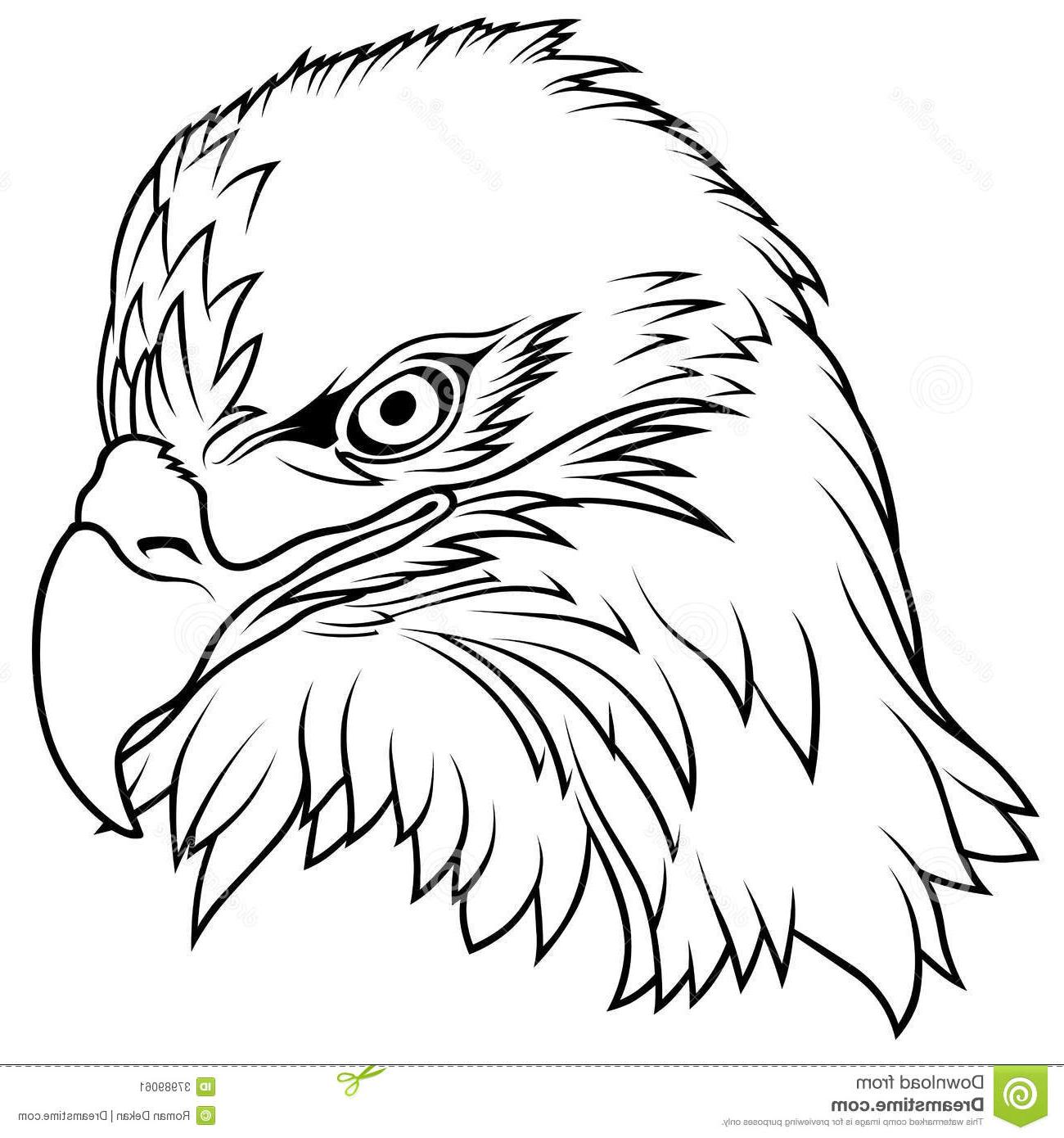 Bald Eagle Outline Drawing at GetDrawings Free download