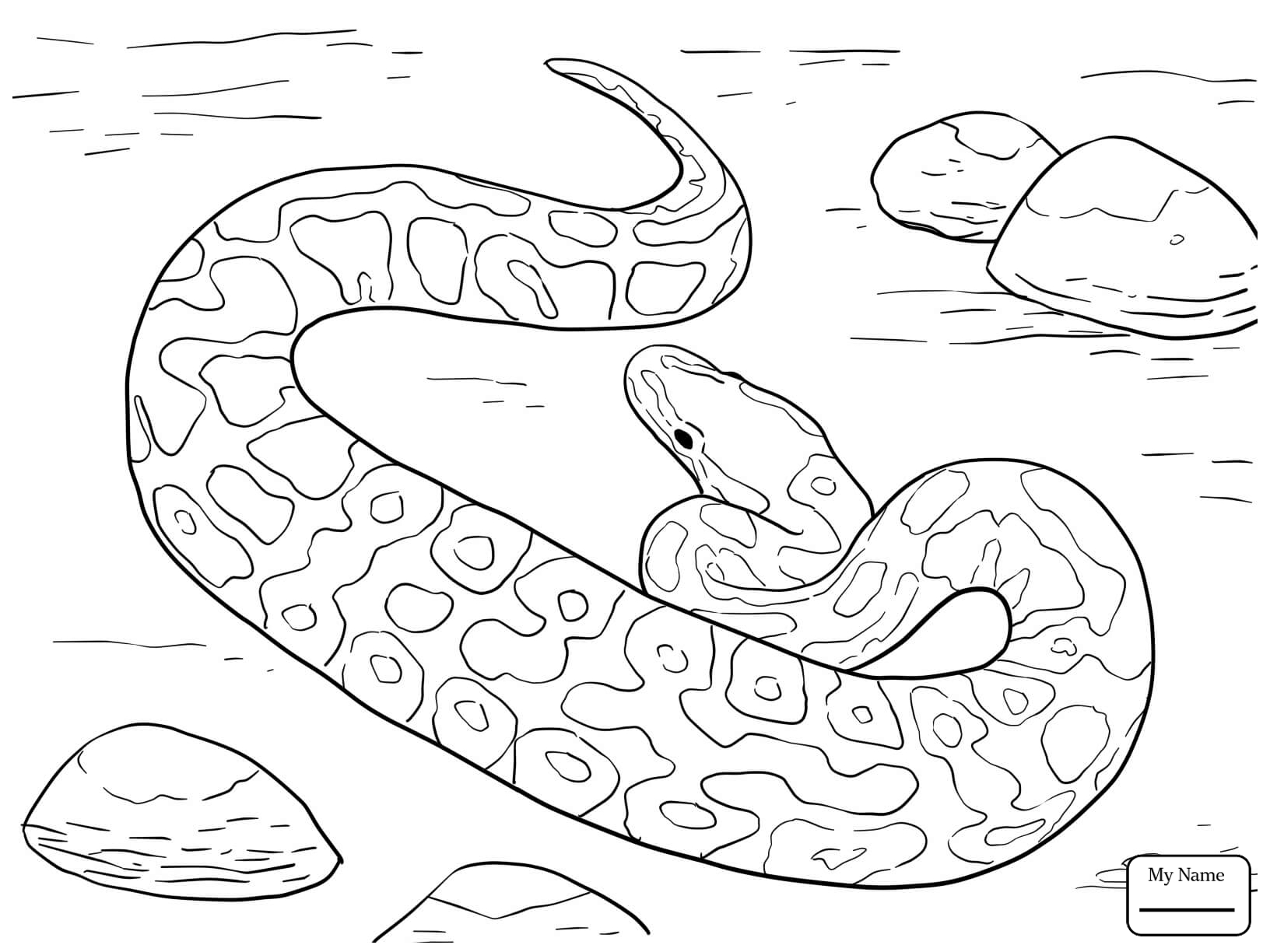ball-python-drawing-at-getdrawings-free-download